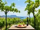 sip-and-sail-discover-croatias-best-wine-tasting-destinations
